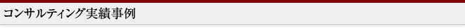 コンサルティング実績事例